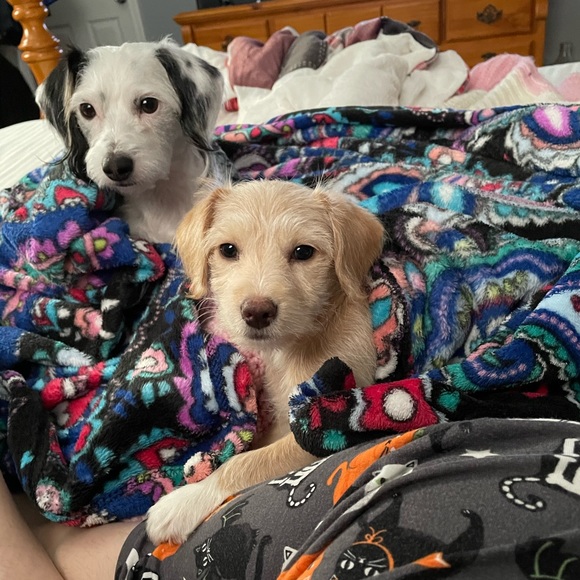 Meet your Posher, Jessica - Picture 7 of 9